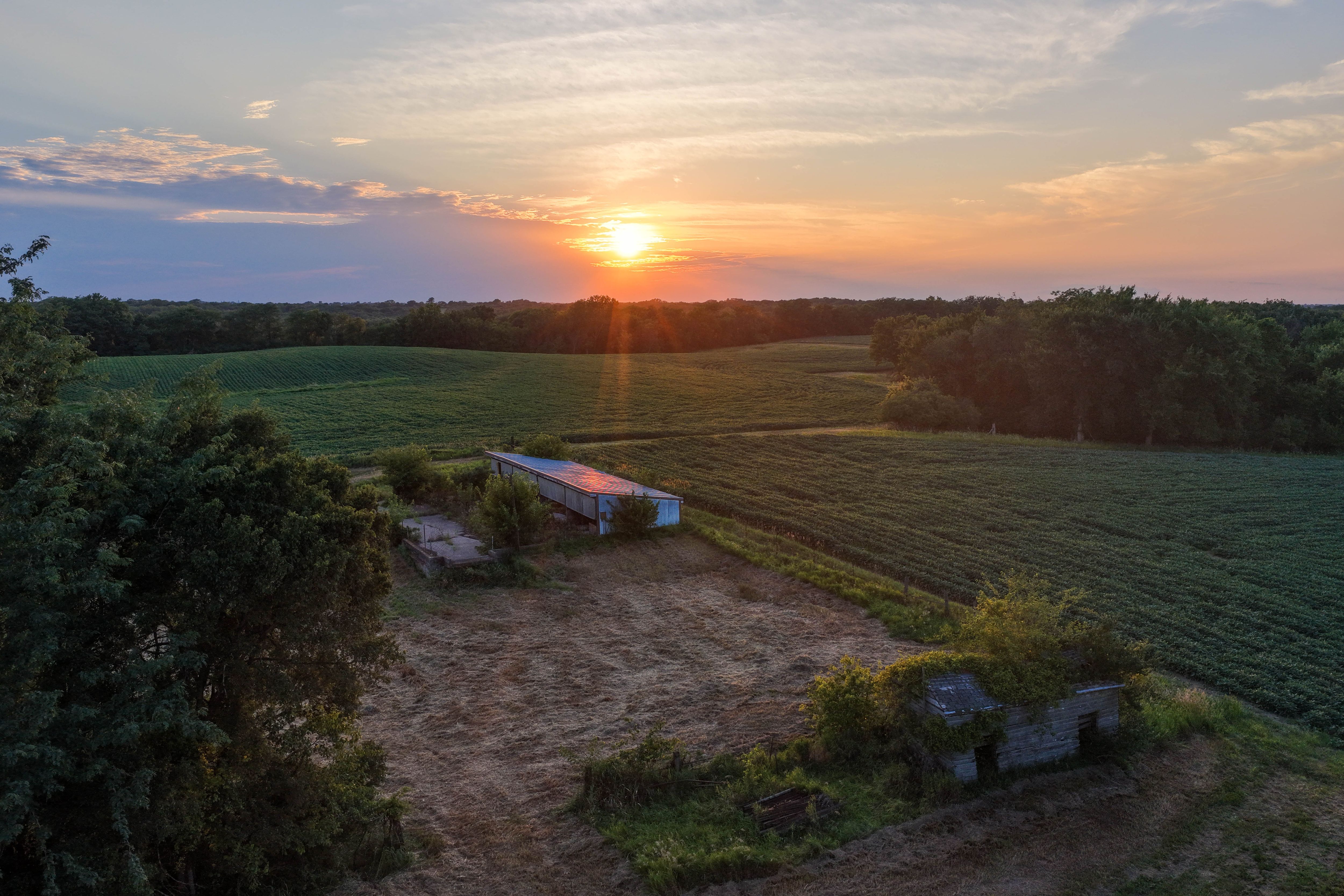 Listing Photo: Whitetail Hunting Farm Mahaska County Iowa-10